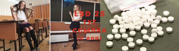 крисы Нестеровская